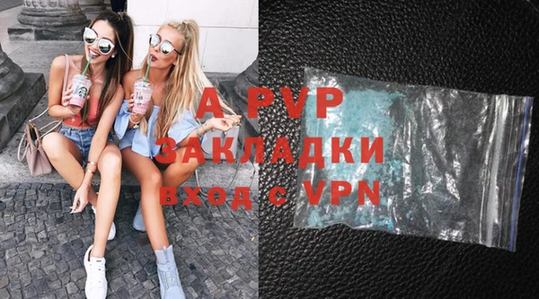 гидра Алексин