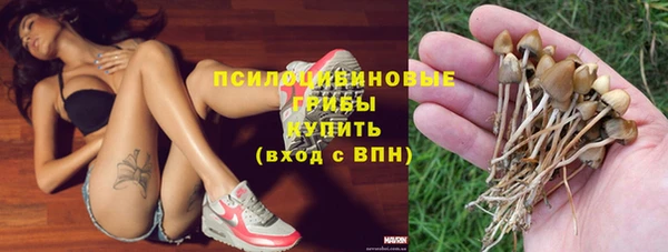 гидра Алексин
