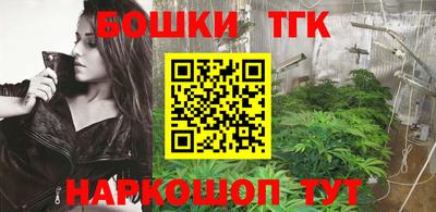 шишки Абакан