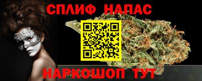 шишки Абакан