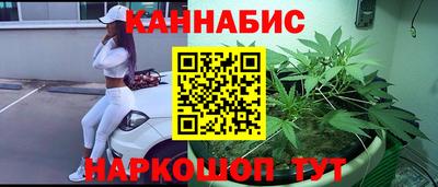 шишки Абакан