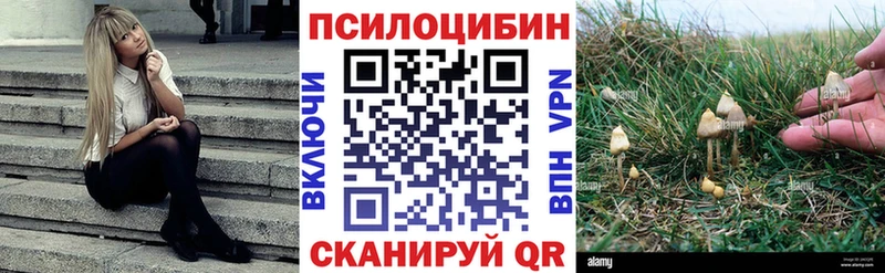 Галлюциногенные грибы Magic Shrooms  наркотики  Советский 