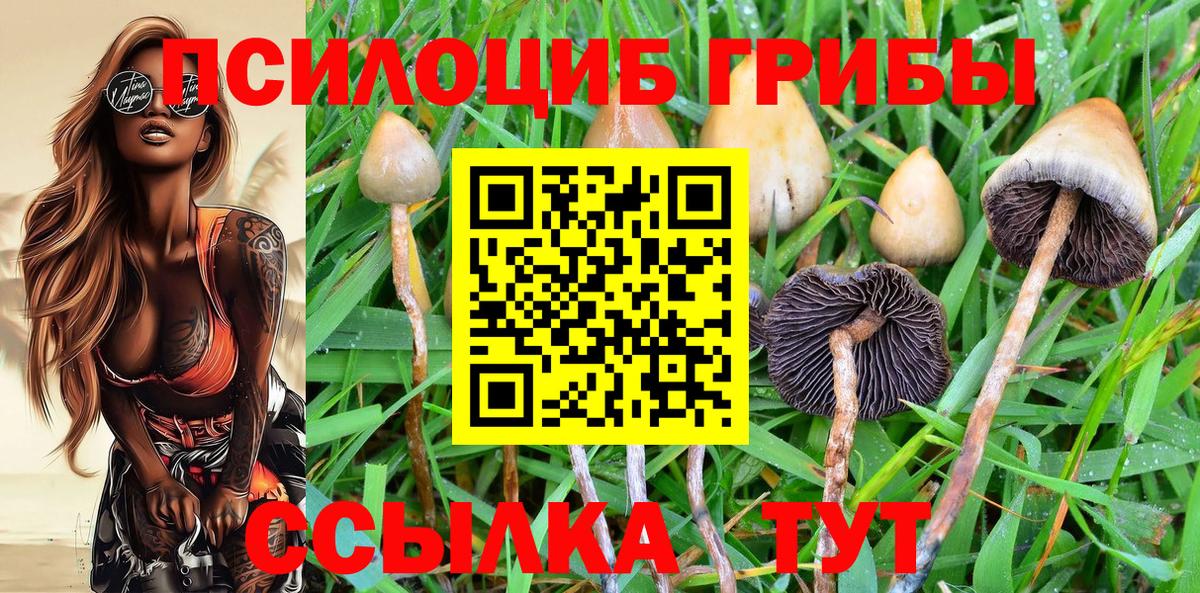Советский  Галлюциногенные грибы ЛСД  Галлюциногенные грибы Cubensis  Вход с VPN 